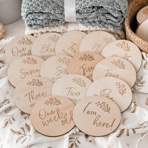 Whimsy Milestone Disk Set