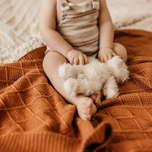 6 month old baby sitting on a snuggly jacks cinnamon organic knitted blanket holding a teddy bear